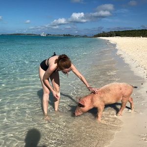 Not to sell! Just my love for piggies S2